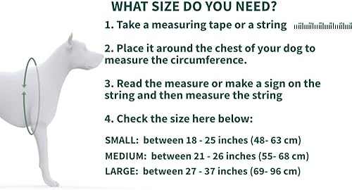 Miniatura 2 de Ortocanis - Soporte de cadera para perros con displasia de cadera u osteoartritis (L)