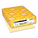 Wausau Exact 110, Index Cardstock, 250 Count, Ivory, 8.5 X 11 Inches (49581)
