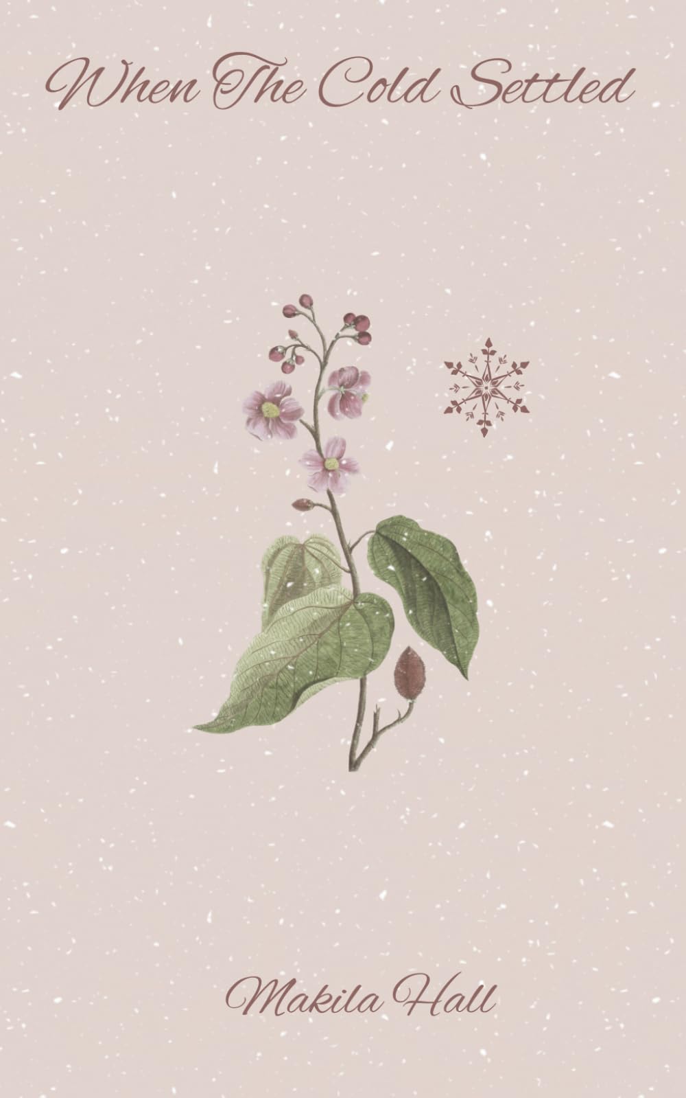 When The Cold Settled: Poetry Collection