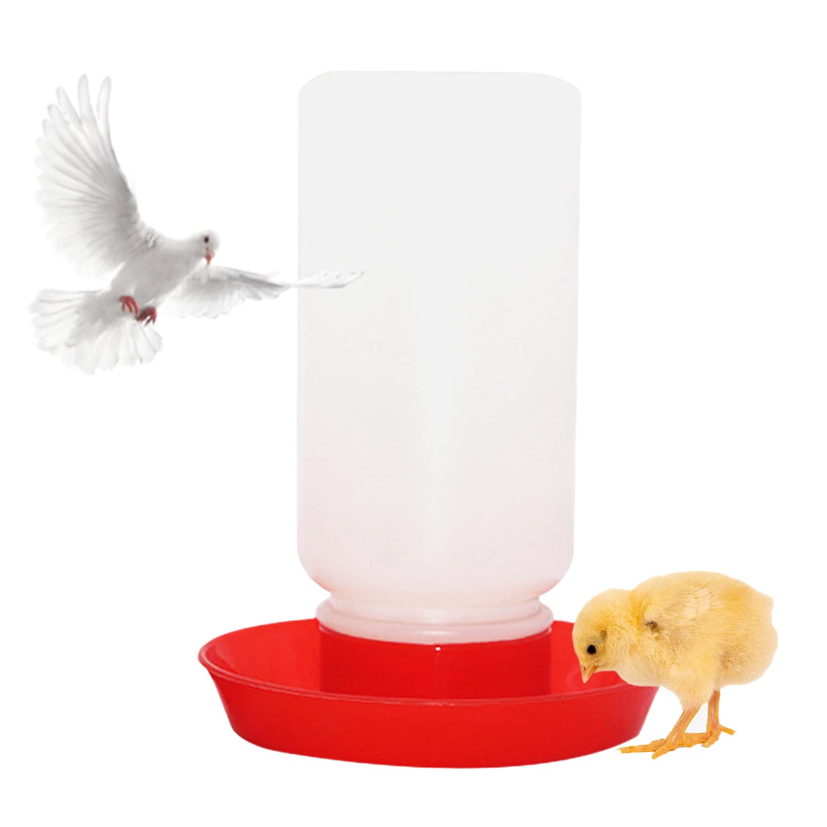 Herramientas de agua para gallina que evitan derrames en patos y codornices