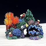 ★Apto para todos los acuarios y tanques de peces.Totalmente seguro para todos vida acuática.