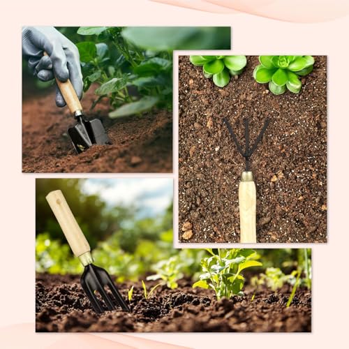 Image of 3-Piece Gardening Tools Kit for Home (Wooden Handle Cultivator,Fork, Small Trowel) Stainless Steel Garden Set, Farming Tool for Indoor Outdoor Agriculture Use (GTK)