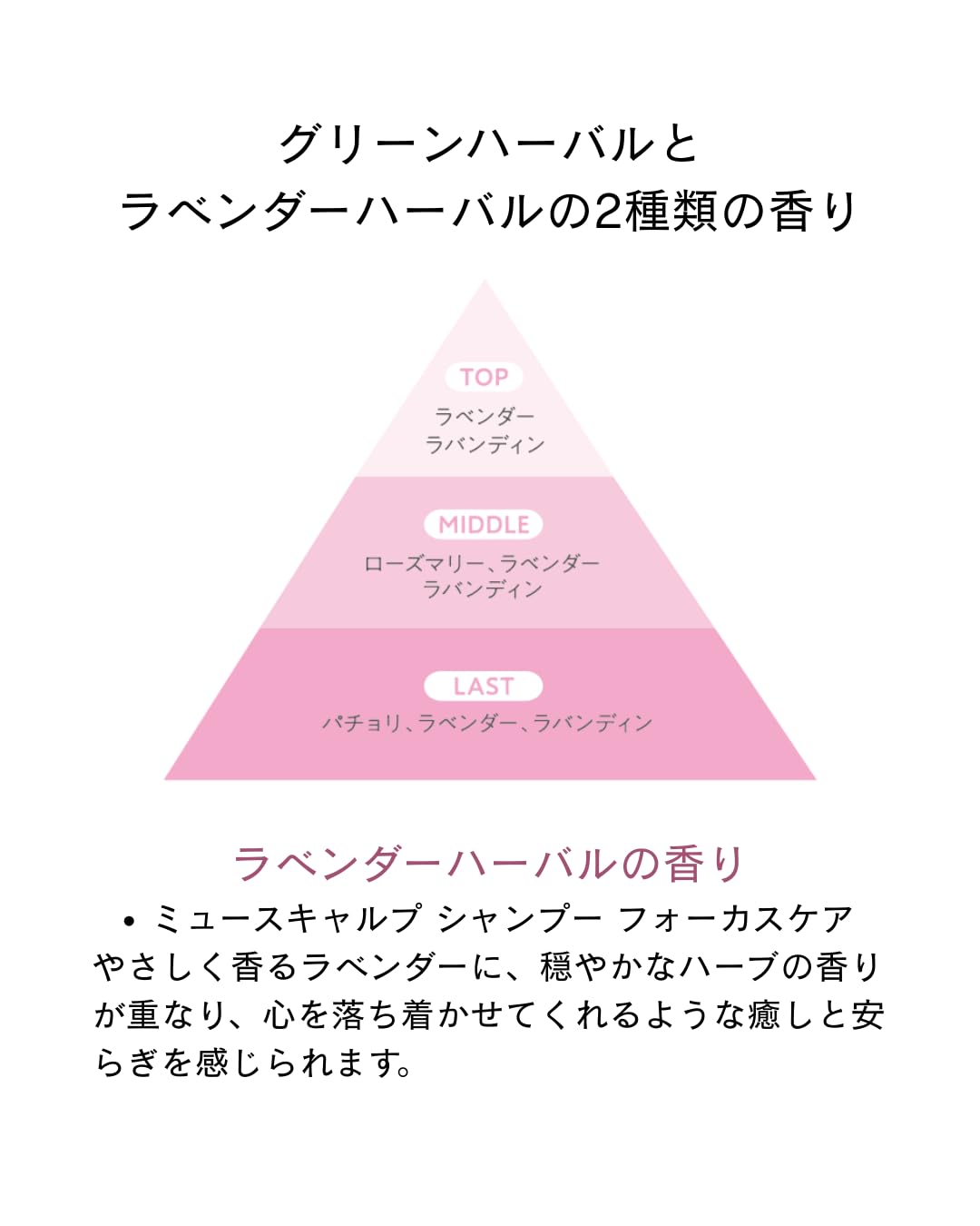 Amazon | ミュースキャルプ シャンプー フォーカスケア 1000g