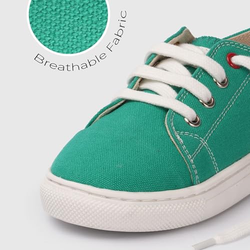 Image of toothless Canvas Shoes | Lace-Up Closure | Durable Canvas Upper | Cushioned Sole | Everyday Casual Wear for Kids