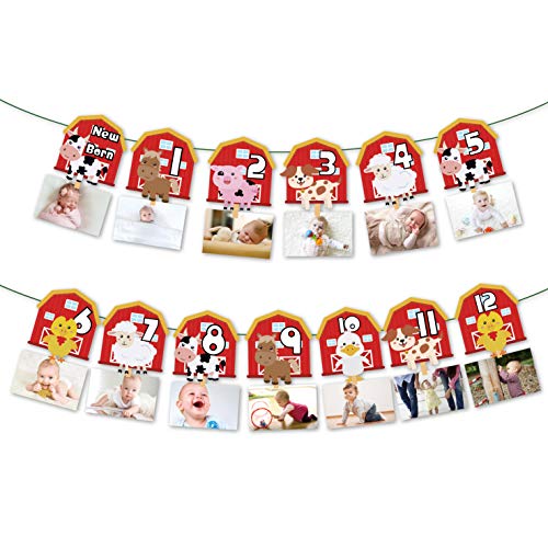 Farm Animal 1st Birthday Photo Banner Newborn to 12 Month Display Milestone Farm Theme First Year Baby Banner Farm Animal Party Supplies Decorations