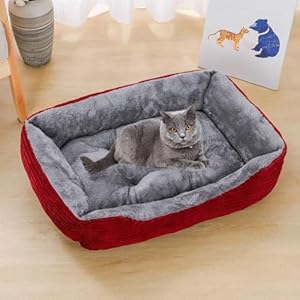 Square Plush Pet Bed – Cushion for Cat & Small Dog – Small Dog Bed for Puppies & Cats – Cozy Corduroy with Anti-Slip Bottom, Soft & Durable,Red,S