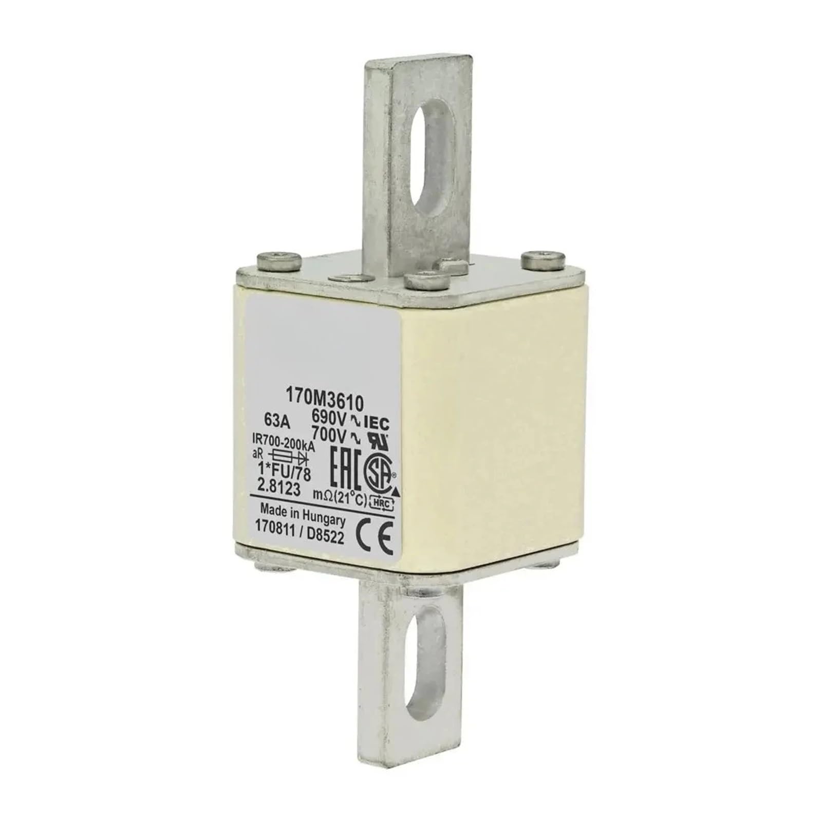 Fusible 170M5313 cartouche de protection haute performance type 170M5316