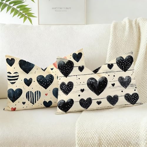 Funda Cojin 25x45 Juego 2, Geometría Cojines Exterior Jardin Impermeable Terciopelo Fundas de Almohada, Amar Cojines Cama Decorativos, para Primavera Decorativos Salón Dormitorio, Regalos D-667