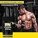 Nuke Nutrition Creatine Tablets 3000mg - 120 Tablets - Pure Creatine Monohydrate Supplements Boost Muscle Mass, Bulk & Strength - Excellent Pre Workout for Men & Women - Boost Energy & Performance Nuke Nutrition Creatine Tablets 3000mg - 120 Tablets - Pure Creatine Monohydrate Supplements Boost Muscle Mass, Bulk & Strength - Excellent Pre Workout for Men & Women - Boost Energy & Performance