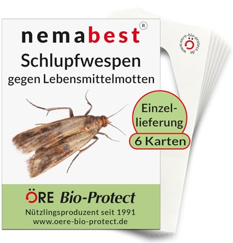 nemabest® Schlupfwespen gegen Lebensmittelmotten - 6 Karten à 1 Lieferung zur effektiven Bekämpfung - biologische Alternative zur Mottenfalle oder Pheromonfalle