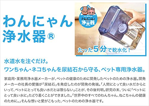 世界初、猫を尿結石から守るペット専用浄水器が登場  Cat Press 