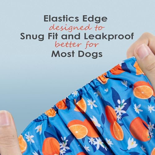 Image of wegreeco Washable Male Dog Belly Band (Stylish Pattern)- Pack of 3 - Washable Male Dog Belly Wrap, Dog Diapers Male (Fruit, Large)