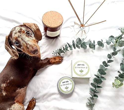pet wiz Pfoten- & Nasenbalsam für Hunde & Katzen - Bio & Natürliche Inhaltsstoffe - Bio Pfoten- und Nasenbalsam für Hunde und Katzen - Kokosöl, Sheabutter, Vitamin E & Aloe (60g