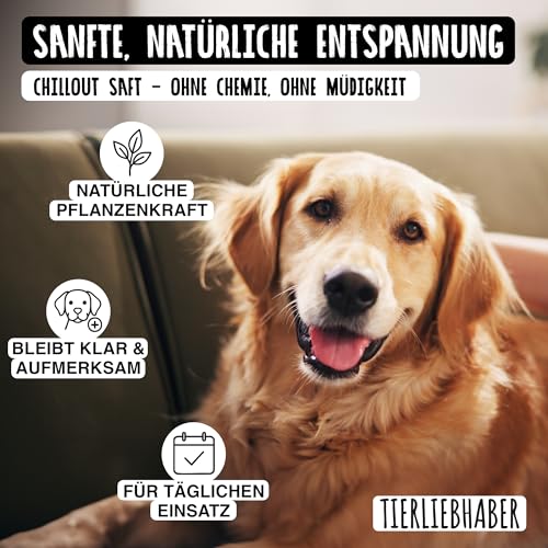 TIERLIEBHABER - Chillout Saft für Hunde zur Beruhigung bei Angst und Stress an Silvester – 100% natürliches Beruhigungsmittel für Hunde – Anti-Stress Saft mit Baldrianwurzel, Lavendel & Johanniskraut