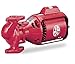 Bell & Gossett Circulating Pump Series 100 Model PR 1/6 hp 115V