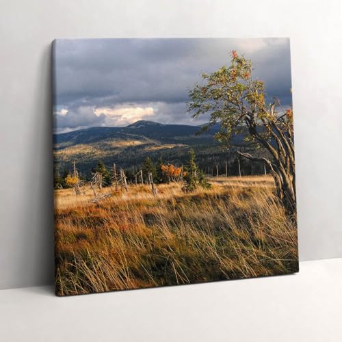 Grand Tableaux 60x60cm Montagnes Karkonosze pour une Ambiance Salon Chalet