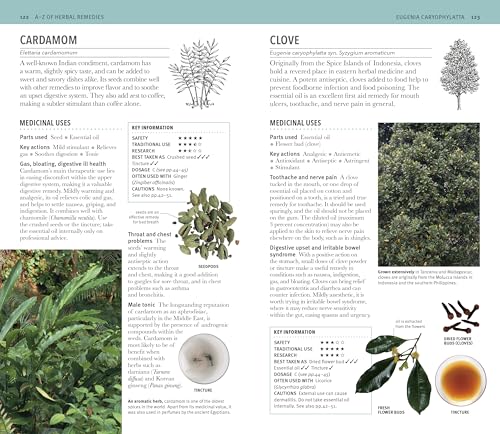 Herbal Remedies Handbook: More Than 140 Plant Profiles; Remedies for Over 50 Common Conditions - Image 6