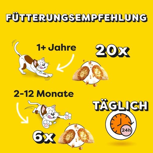 Dreamies Mix Katzensnacks mit Lachs & Käse – Außen knusprig & innen cremig – 6 x 60g