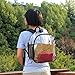 HTLCMMT Clear Backpack Stadium Approved, Clear Backpack Small for Women, Waterproof and Lightweight Heavy Duty Transparent Backpack for Concert, Security Travel & Stadium, Black-s