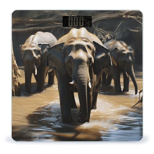 Báscula Digital de Baño Precisa con Vidrio Templado 400 lb miniatura 1