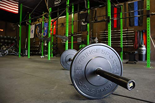 Black Bumper Plate Pairs For Weightlifting, Strength Training, Olympic Barbell, Home Gym Equipment & Fitness Rally - Weight Plates With A Dead Bounce, 10Lbs Weight Plates Pair - Low Odor, Ideal For Power Lifting #TOP3