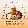 RYZE SUPERFOODS Mushroom Coffee USDA Organic with 6 Adaptogenic Mushrooms and MCT Oil, USA Grown Instant Coffee for Better Energy, Focus, Digestion, Immunity with Lions Mane & Turkey Tail, 30 servings #3
