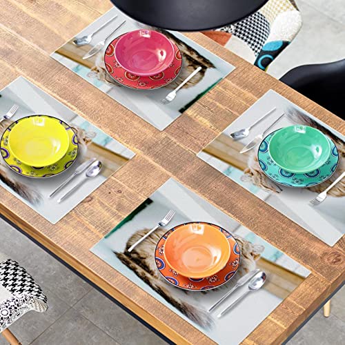 Set de table lavable anti-tache en tissu Oxford pour protéger votre table - 8