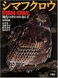 シマフクロウ 神鳥・コタンコルカムイ