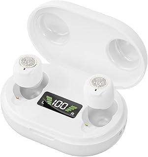 Hearing Aids for Seniors, for People with Hearing Loss, Rechargeable Mini Noise Reduction Hearing Aid, Comfortable Invisible In-Ear Hearing Aid, Magnetic Charging Case with LED Display