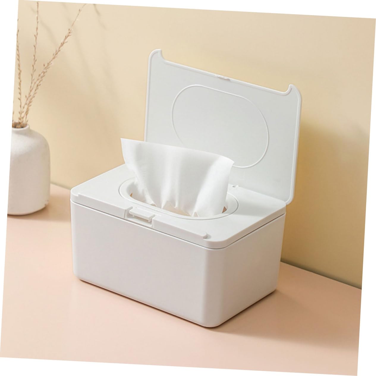 FRCOLOR 2 Dispenser Salviette Umidificate Contenitore Versatile per Salviette e Piccoli Oggetti Design e Pratico e Ufficio Facile Usare