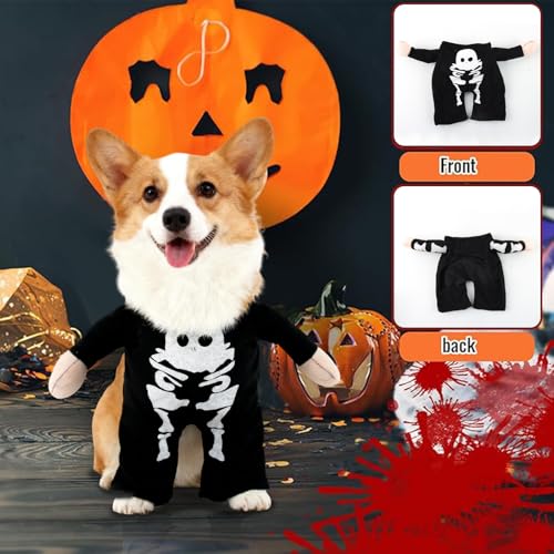 Halloween Kostüme für Im Dunkeln leuchtendes Skelettkostüm, SilverChry Hundekostüm Halloween, für Haustier Cosplay Party, Haustier Cosplay Party Anzug (M, Skeleton)