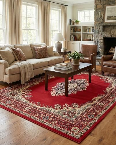 Rugs.com Amaya Collection Rug – 8' x 10' Red Medium Rug Perfect for Living Rooms, Large Dining Rooms, Open Floorplans