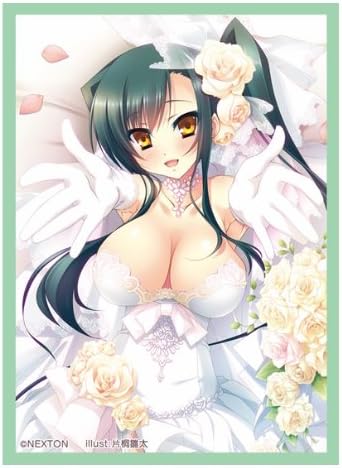 Nextonガールズスリーブコレクションvol 001 恋姫夢想 関羽 愛紗 スリーブ ホビー