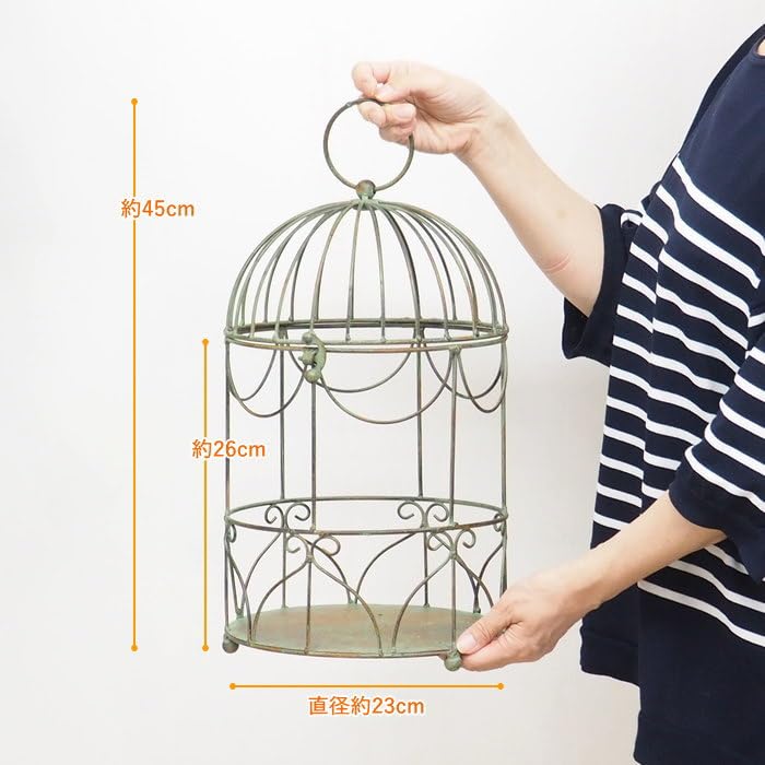 Amazon.co.jp: 村田屋産業 フラワーバードケージ 6085 : ペット用品