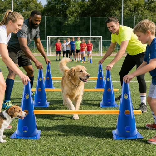 Matériel d'agilité pour chien robuste avec kit de cônes pour compétition