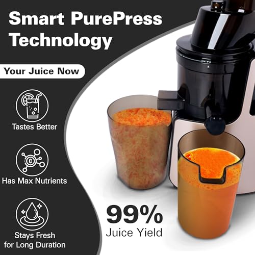 Image of Hamilton Beach Professional Cold Press Slow Juicer with FREE Sorbet Attachment, Smart PurePress Technology, Slow Juicer for Fruits & Vegetables