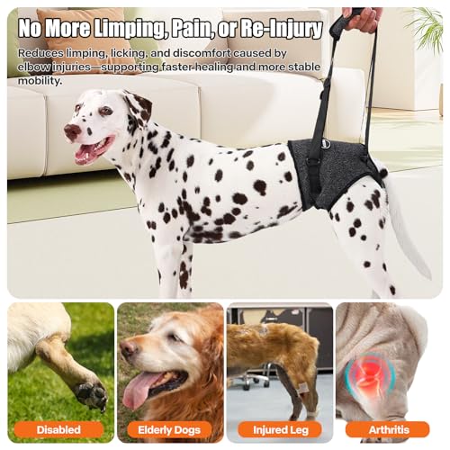 Image of Dog Sling for Medium Large Dog Rear Leg, Lift Harness Provide Support with Muscle Atrophy and Joint Problems for Elderly Injured Arthritic Pet, Dog Weak Rear Legs Provides Rehabilitation Aid