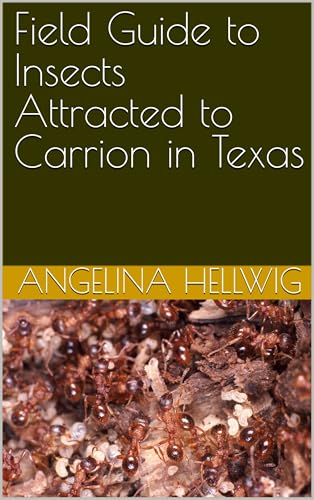 Field Guide to Insects Attracted to Carrion in Texas