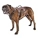 Ferplast Hundegeschirr Large ERGOTREKKING Large, Ausbruchsicheres Hundegeschirr, Greyhound, Perfekte Passform, Verstellbares Geschirr für Hunde, Reflektierend, Gepolstert, 6 Verschlüsse