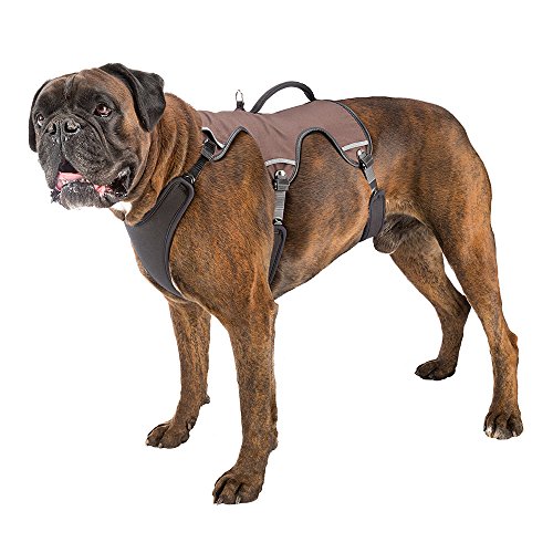 Ferplast Hundegeschirr Large ERGOTREKKING Large, Ausbruchsicheres Hundegeschirr, Greyhound, Perfekte Passform, Verstellbares Geschirr für Hunde, Reflektierend, Gepolstert, 6 Verschlüsse