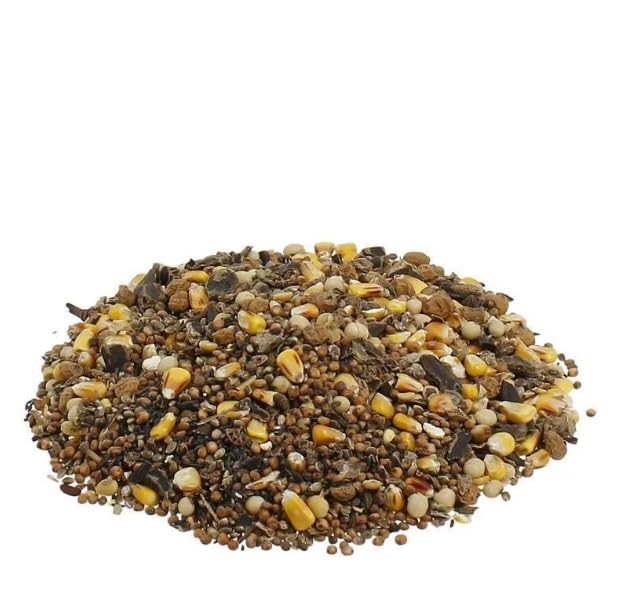 Premium Carp Partikel Mix - 25 Kg - Karpfenfutter zum Anfüttern & Angeln von Karpfen, Mais, Carp Baits Tigernüsse und Kichererbsen als Angelköder