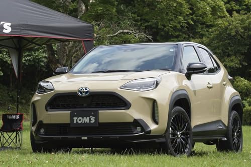 gX(Tomfs) X^COp[cZbgB XNX ubN 50000-TPJ10-F