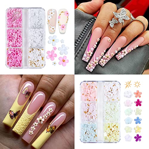 Baoximong 2 Boxes 3D Flower Nail Art Charms White Pink Nail Charms For Acrylic Nails Gold Silver Pearls Nail Art Supplies Rhinestones Spring Cherry Blossom Gems Design Nail Accessories Decorations #TOP1