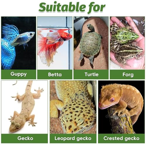 Image of PINVNBY Small Fish Tank Decorations (Size: 5.5 x 2.9 x 2.9 inches), Resin Rock Aquarium Decorations Fish Cave or Reptile Hide to Rest Play Breed, Suitable for Small Betta Humid Gecko Tortoise