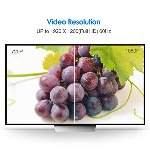 Rankie Dvi To Dvi Cable, 6 Feet #TOP5