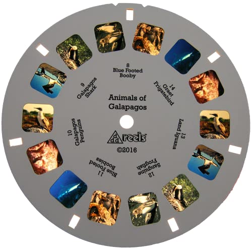 3D Viewermaster Reels WKT-AOG Galapagos - Compatible With View-Master 2 Reel Set thumb #6