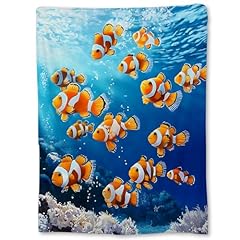 Clownfish80