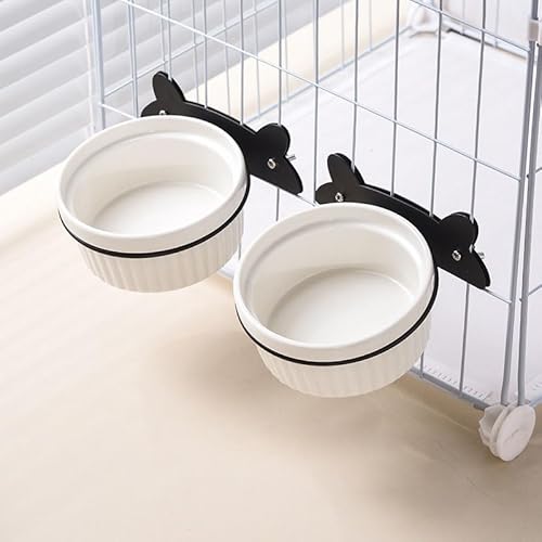 Thujopsis ybgH aM t[h{E  L H {E a  P[WɎt^Cv Œ (zCg)