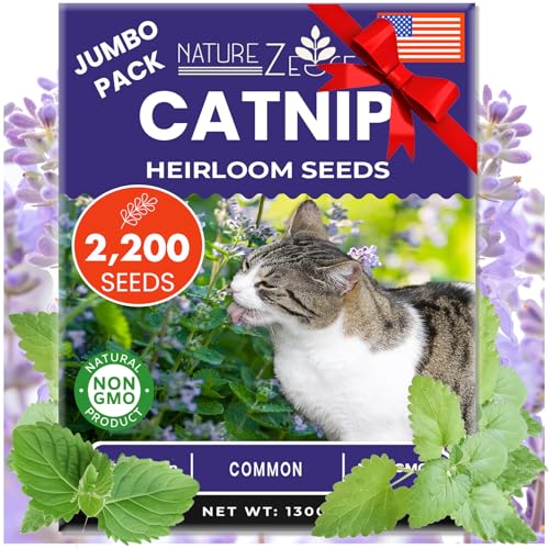 NatureZ Edge Catnip Seeds 2200+