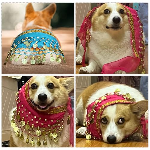 Disfraz divertido de bailarina para perro, tamaño M miniatura 4